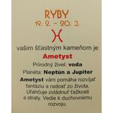 Ametyst pre Ryby 19.2-20.3