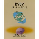 Ametyst pre Ryby 19.2-20.3