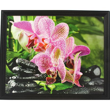 Feng shui obraz Orchidea 19, 32.5x26.5 cm