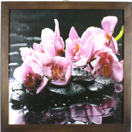 Feng shui obraz Orchidea 12, 33x33 cm