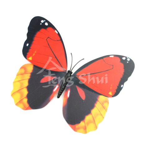 Motýľ - symbol duše a šťastia 6, magnetka