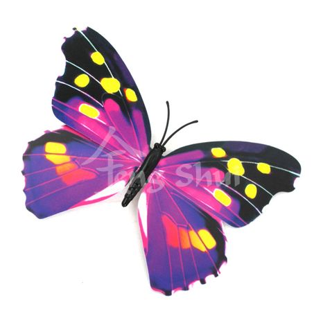 Motýľ - symbol duše a šťastia 8, magnetka
