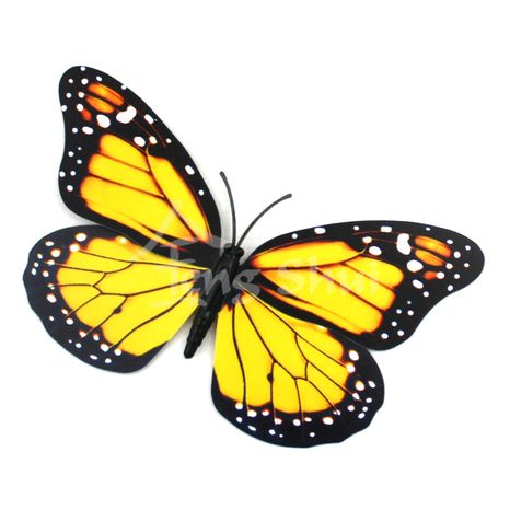 Motýľ - symbol duše a šťastia 1, magnetka