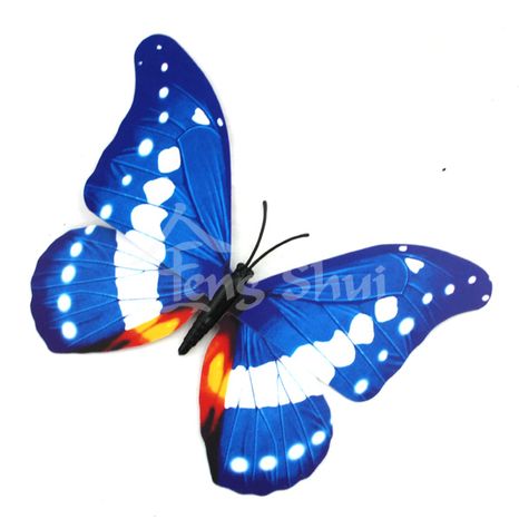 Motýľ - symbol duše a šťastia 11, magnetka