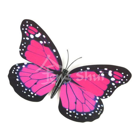 Motýľ - symbol duše a šťastia 13, magnetka