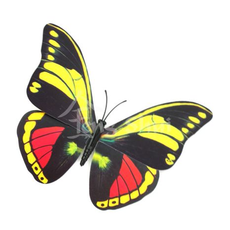 Motýľ - symbol duše a šťastia 7, magnetka