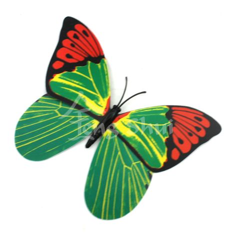 Motýľ - symbol duše a šťastia 3, magnetka