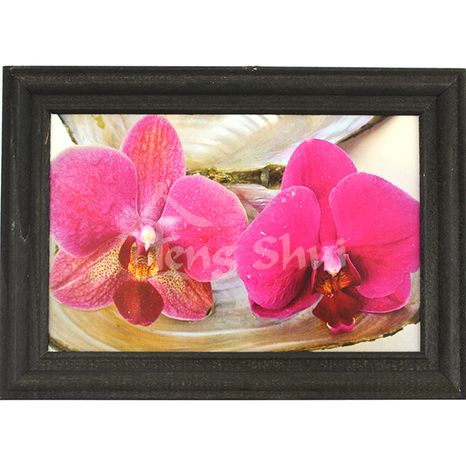 Obraz Orchidea 16, 17.5x12.5 cm