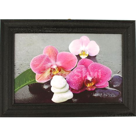 Feng shui obraz Orchidea 17, 17.5 x 12.5 cm