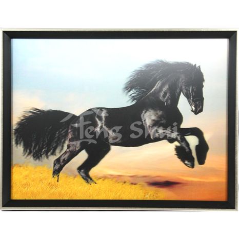 Obraz Čierny kôň pre úspech a slávu