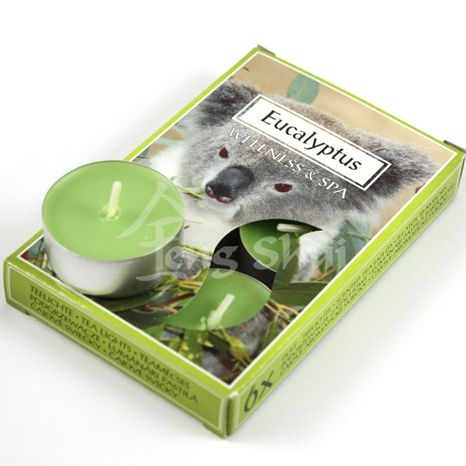 Voňavé čajové sviečky Eukalyptus